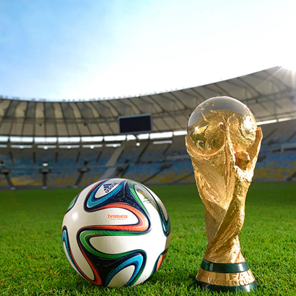 江苏队总决,赛征途,老将张常宁,开云体育,开云体育官网,开云体育app,开云体育app下载