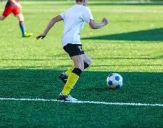 叶诗文,蛙折桂,张雨霏,开云体育,开云体育官网,开云体育app,开云体育app下载