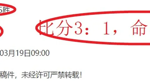 弗拉格新秀赛季进步显著 NBA专家深度解析